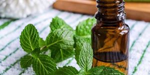 Spearmint Oil