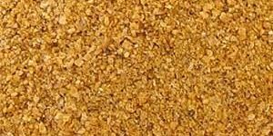 Corn DDGS
