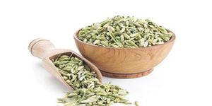 Fennel Seed
