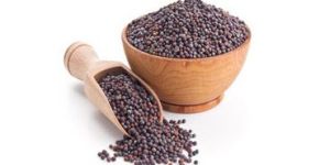 Mustard Seed