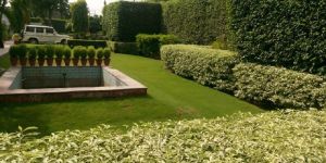 Horticulture Services