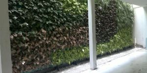 Natural Greenwall Construction Service