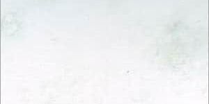 Fantasy White Marble