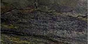 Ocean Green 1 Slate Stone