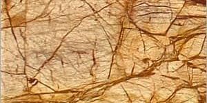 Rainforest Brown Marble