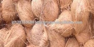 Semi Husked Coconut