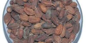 Neem Dry Fruit