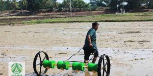 Seed Planter Machine