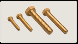 Brass Bolts
