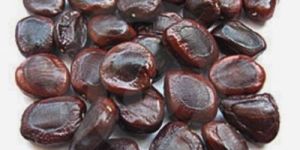 Tamarind Seeds