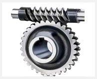 Worm Gear
