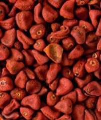 Annatto Seeds