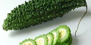 Bitter Gourd