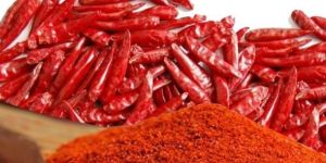 Dry Red Chilli