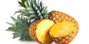 Fresh Pineapple