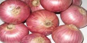 Big Onion