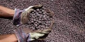 Iron Ore Pellet