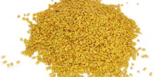 Fenugreek