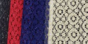 Divine Rasal Net Fabric