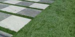 Artificial Grass