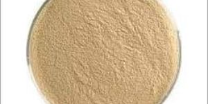 Acid Protease Powder