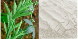 Gum Powder