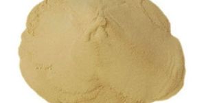 Soya Protein Hydrolysate Powder