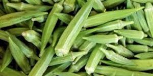 Fresh Okra