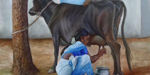 Woman Milking Cow Canvas Painting