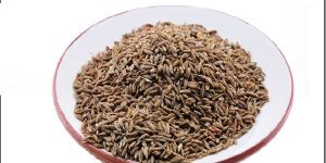 Cumin Seed