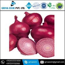 Onion