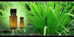 Palmarosa Oil