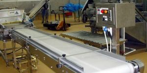 Food Grade Conveyor Belts