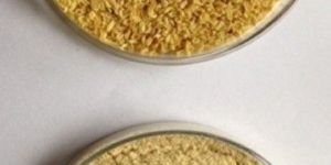 Psyllium Husk Powder