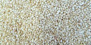 Hulled Seasame Seeds
