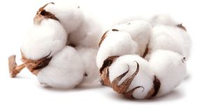 Raw Cotton