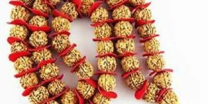 Rudraksha Mala Five Mukhi Nepal