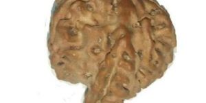 Rudraksha Savar Nepal