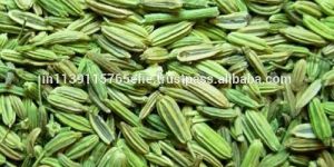 Fennel Seed