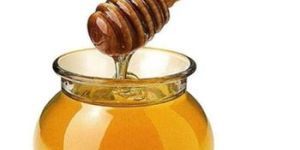 Natural Mustard Honey