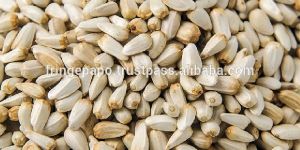 Safflower Seed