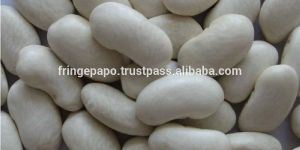 White Kidney Bean