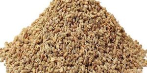 Ajwain Powder