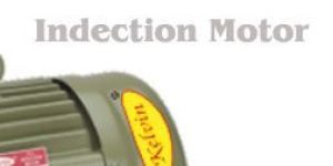 Induction Motor