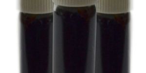 Indian Holy Basil -Tulsi Extract