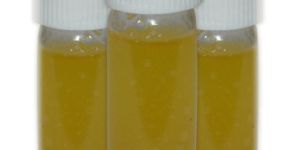 Juniper Berry Extract