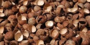 Coconut Shells