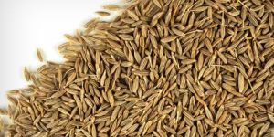 Cumin