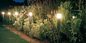 Solar Garden Lights