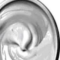 Premier Aluminum Paints